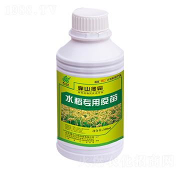 ˮ����������-��ɽ����