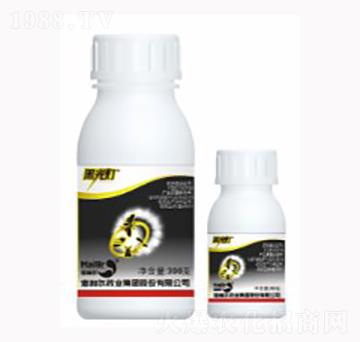 ��ڹ��-������