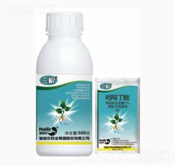 ���ᶡ��-����-������