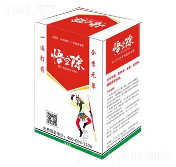 С������݄�-��ճ�-��С��