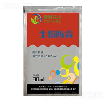 �������-�ۿ�����