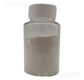 ���������-�����Ƽ�