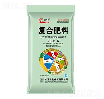 �ͺϷ���28-6-6-�W��