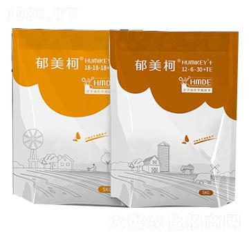 ������12-6-30+TE-��(y��u)����