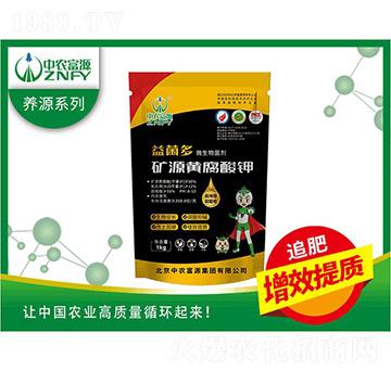 �VԴ�S�����-�����-