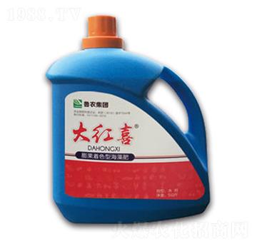 �����ɫ�ͺ����-��t