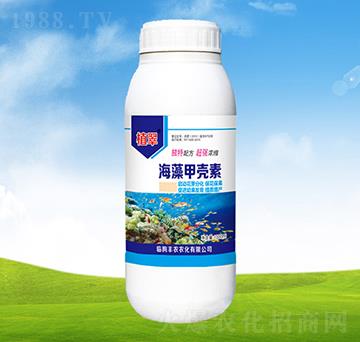 ����ך���-ֲ��-�S�r(n��ng)