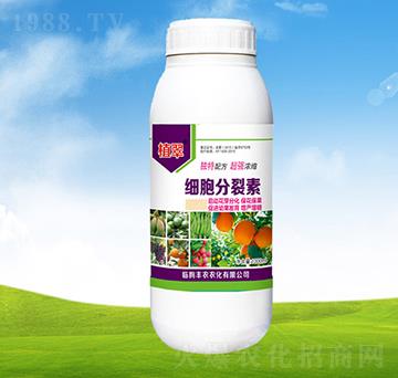 ����������-ֲ��-�S�r(n��ng)