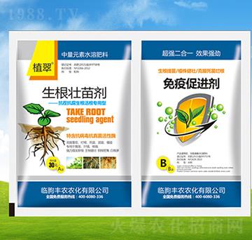 �������焩+���ߴ��M��