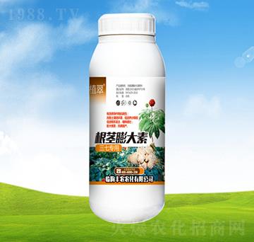 ���ߌ��ø��o�����-ֲ