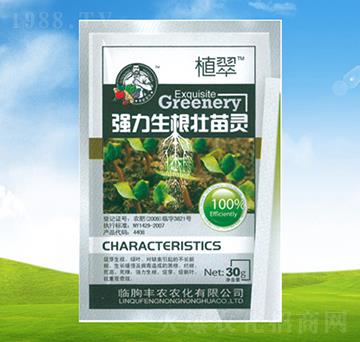 �������������`-ֲ��-