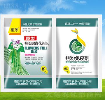 ���L��ֱ���v��+���P��