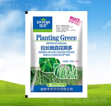 ���L��ֱ���v��-ֲ��-