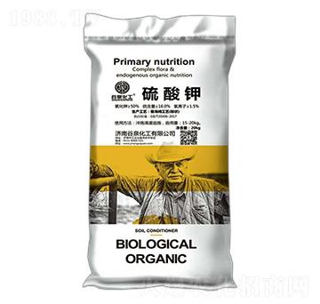 �����-��Ȫ����