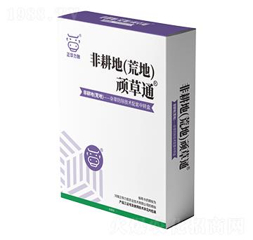 �Ǹ��أ��Ĳݣ��B��ͨ-