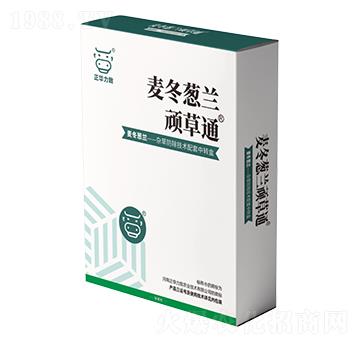 �����[�m�B��ͨ-���A��