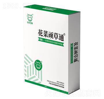 �����B��ͨ-���A����