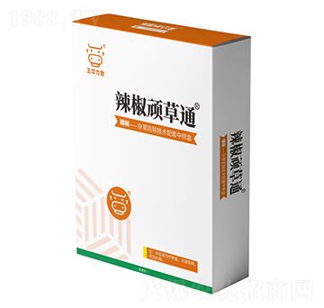 �����B��ͨ-���A����