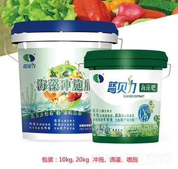 ����Һ�w��-�屶��-�{ؐ��