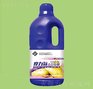 Ħ������������׷��-������