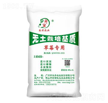 ��ݮ���ßo(w��)��������|(zh��)-�����r(n��ng)�I(y��)