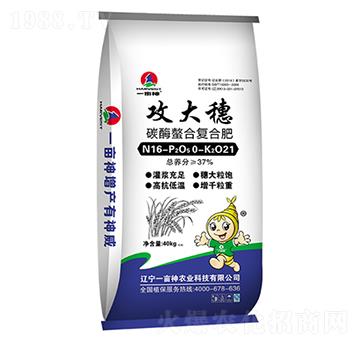 ̼ø���Ϗ�(f��)�Ϸ���16-