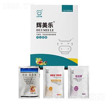 ��ù�������߲������˲�