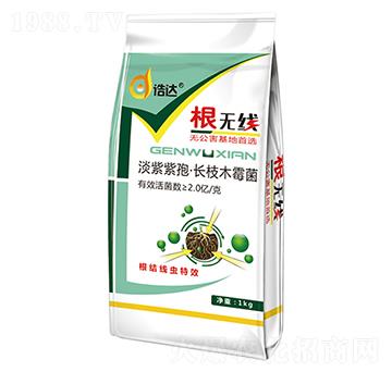 �������ߡ��L��ľù��-