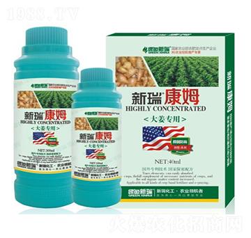 �������Ͻ������~���-����