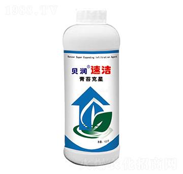 ��̦����-ؐ���ٝ�-ɭ