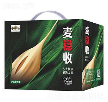 ����(w��n)��С�����g(sh��)��Q����-С����(bi��o)