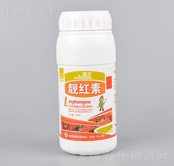 �n�t��-��(gu��)��-������