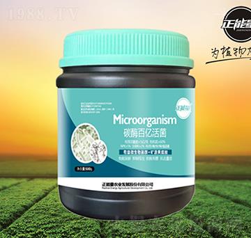 ̼ø�ك|���-������