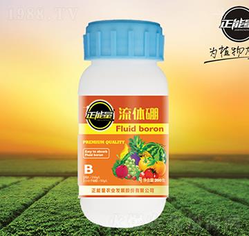 ���w��-������