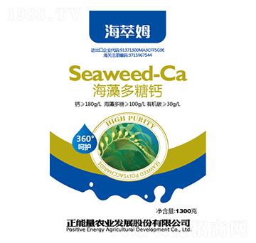 1300g��������}-