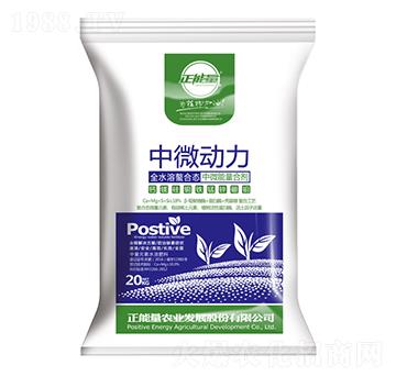 ��΢��(d��ng)��-������