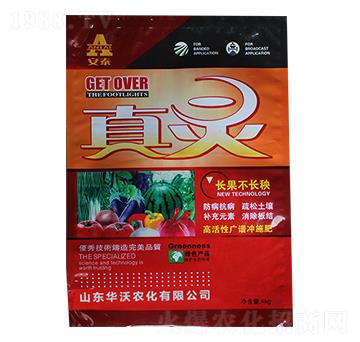 �߻��ԏV�V�_ʩ��-�A��