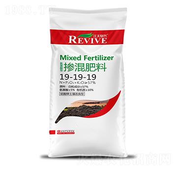 �������19-19-1