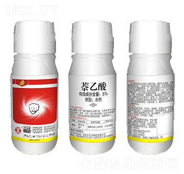 5%������-ȫ�S