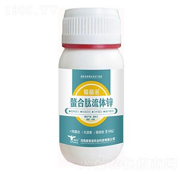 ���������w�\-�����Z