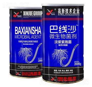 ΢�������-�;�(xi��n)ɳ-�