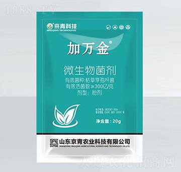 ΢�������-���f��-��