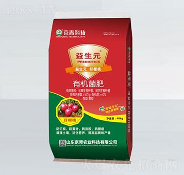 ���Ҍ����ЙC(j��)����-����