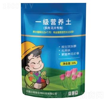 һ��(j��)�I(y��ng)�B(y��ng)�������⻨�܌�(zhu��n)�ã�-С���z