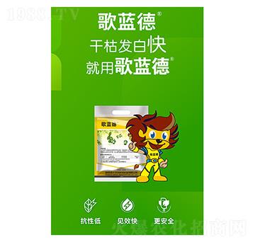 ���{(l��n)��-�����A��