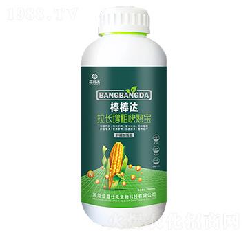 ���L���ֿ��쌚-�����_-���˺�