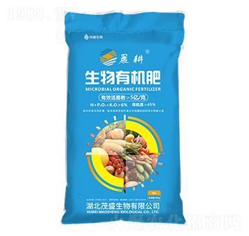 �����ЙC��-����-ïʢ����