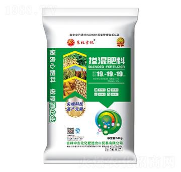 �p�\�����������19-19-19-�|������-�м�������