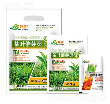 ���~��ѿ�`-�n��-�n��