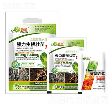 ��(qi��ng)����������1+1-�n